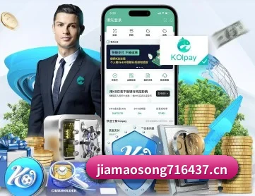 新葡京 APP 深度功能