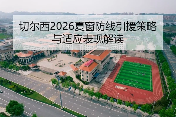 切尔西2026夏窗防线引援策略与适应表现解读